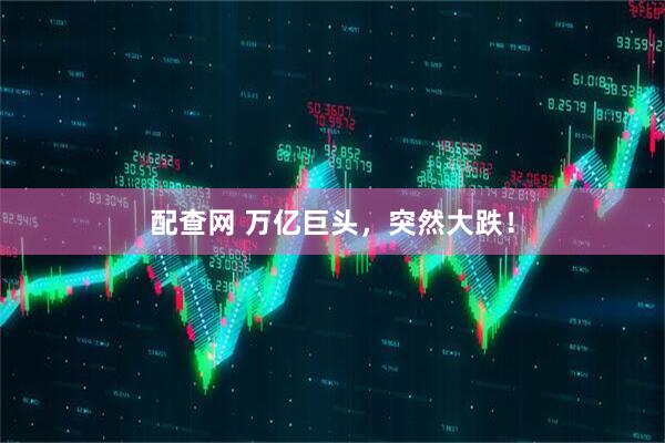 配查网 万亿巨头，突然大跌！