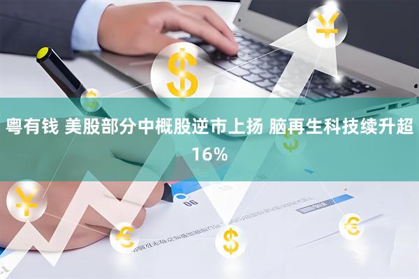 粤有钱 美股部分中概股逆市上扬 脑再生科技续升超16%