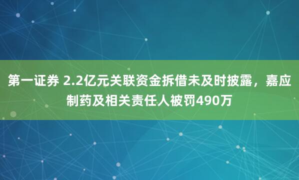 第一证券 2.2亿元关联资金拆借未及时披露，嘉应制药及相关责任人被罚490万