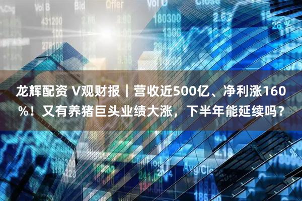 龙辉配资 V观财报｜营收近500亿、净利涨160%！又有养猪巨头业绩大涨，下半年能延续吗？