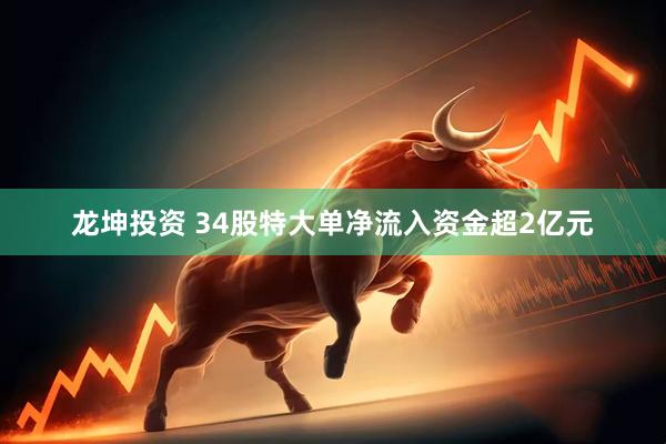 龙坤投资 34股特大单净流入资金超2亿元